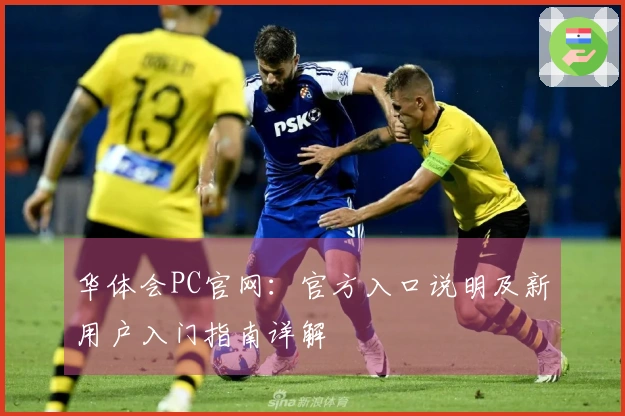 华体会PC官网：官方入口说明及新用户入门指南详解