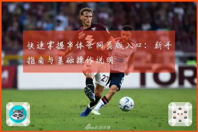 快速掌握华体会网页版入口：新手指南与基础操作说明