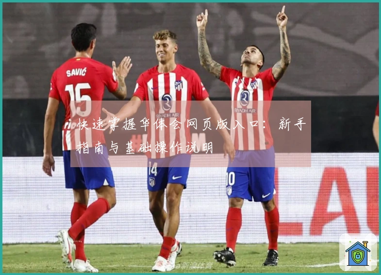 快速掌握华体会网页版入口：新手指南与基础操作说明