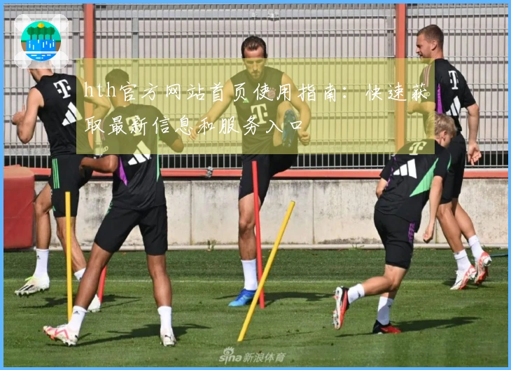 hth官方网站首页使用指南：快速获取最新信息和服务入口