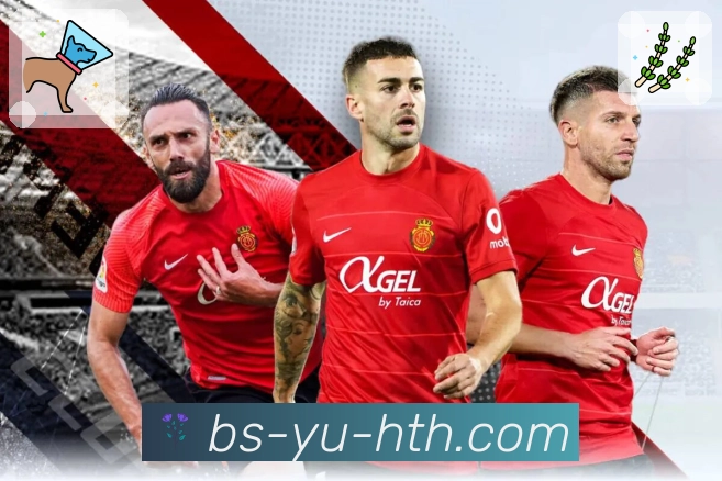 <strong>华体会</strong>赛事覆盖与内容运营